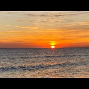 Meet your Posher, Elvis